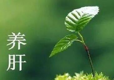 立春時(shí)節陽(yáng)氣升 養陽(yáng)護肝防風(fēng)邪